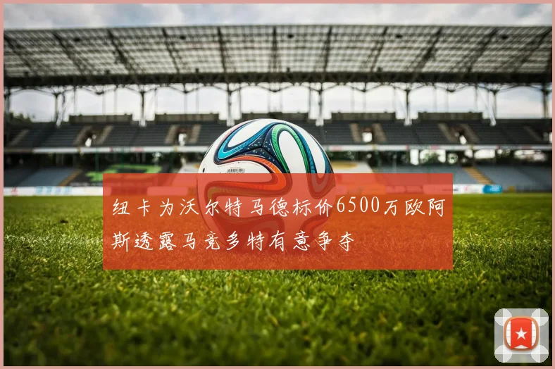 纽卡为沃尔特马德标价6500万欧阿斯透露马竞多特有意争夺